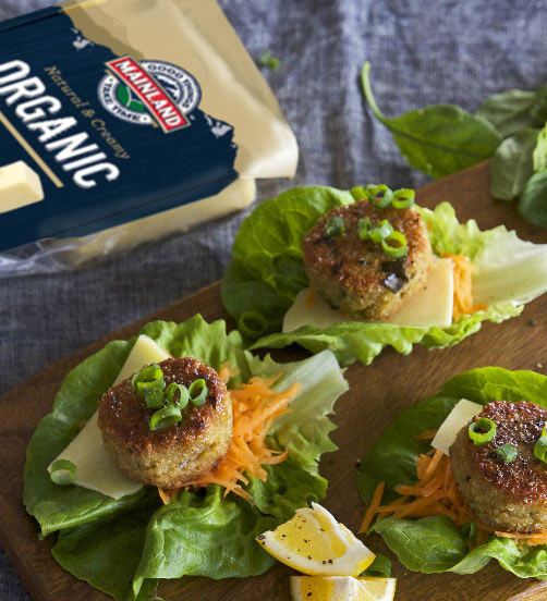 Quinoa and Organic Cheddar Patties